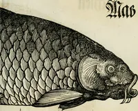 An illustration from Bairische Lanndtsordnung (1553)