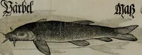 An illustration from Bairische Lanndtsordnung (1553)