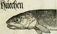 Picture 18 of 26 from Bairische Lanndtsordnung (1553), leaf 342