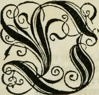 An illustration from Bairische Lanndtsordnung (1553)