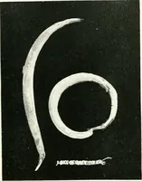 An illustration from Balabish (1920)