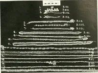 An illustration from Balabish (1920)
