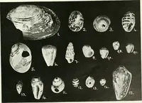 An illustration from Balabish (1920)