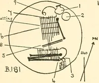 An illustration from Balabish (1920)