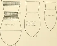 An illustration from Balabish (1920)