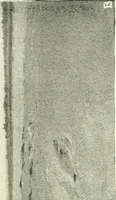 An illustration from Balabish (1920)