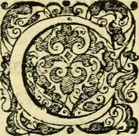 An illustration from Baldi Angeli Abbatii ... De admirabili viperae natura, & de mirificis ejusdem facultatibus liber (1603)