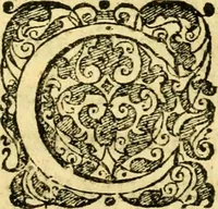 Picture 42 of 44 from Baldi Angeli Abbatii ... De admirabili viperae natura, & de mirificis ejusdem facultatibus liber (1603), leaf 124