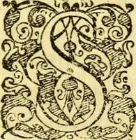 An illustration from Baldi Angeli Abbatii ... De admirabili viperae natura, & de mirificis ejusdem facultatibus liber (1603)