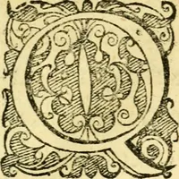 An illustration from Baldi Angeli Abbatii ... De admirabili viperae natura, & de mirificis ejusdem facultatibus liber (1603)
