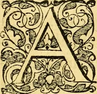 Picture 24 of 44 from Baldi Angeli Abbatii ... De admirabili viperae natura, & de mirificis ejusdem facultatibus liber (1603), leaf 56