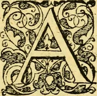 An illustration from Baldi Angeli Abbatii ... De admirabili viperae natura, & de mirificis ejusdem facultatibus liber (1603)