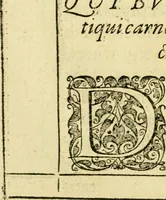 An illustration from Baldi Angeli Abbatii ... De admirabili viperae natura, & de mirificis ejusdem facultatibus liber (1603)