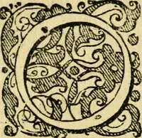 An illustration from Baldi Angeli Abbatii ... De admirabili viperae natura, & de mirificis ejusdem facultatibus liber (1603)