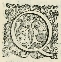 An illustration from Oratio Baldi Catanei i. c. et presb. a Castilione Aretinae diocesis. : habita jn fvnere illustriss. Latini Vrsini, Romae IIII. non. Decembris. M.D.LXXXVII (1587)