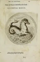 Picture 21 of 28 from Balet comiqve de la royne : faict avx nopces de monsieur le duc de Ioyeuse & madamoyselle de Vaudemont sa soeur (1582), leaf 153