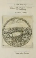 Picture 24 of 28 from Balet comiqve de la royne : faict avx nopces de monsieur le duc de Ioyeuse & madamoyselle de Vaudemont sa soeur (1582), leaf 160