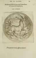 An illustration from Balet comiqve de la royne : faict avx nopces de monsieur le duc de Ioyeuse & madamoyselle de Vaudemont sa soeur (1582)