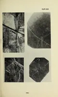 Picture 10 of 14 from [Balloon notes] (1917), leaf 381