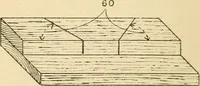 An illustration from Bamboo work; comprising the construction of furniture, household fitments, and other articles in bamboo (1901)