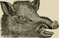 An illustration from Banbury chap books and nursery toy book literature [of the XVIII and early XIX centuries] (1890)