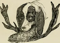 An illustration from Banbury chap books and nursery toy book literature [of the XVIII and early XIX centuries] (1890)