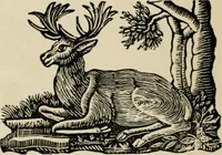 An illustration from Banbury chap books and nursery toy book literature [of the XVIII and early XIX centuries] (1890)