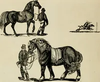 An illustration from Banbury chap books and nursery toy book literature [of the XVIII and early XIX centuries] (1890)