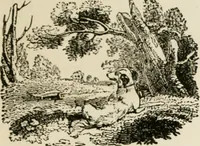 An illustration from Banbury chap books and nursery toy book literature [of the XVIII and early XIX centuries] (1890)