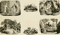 An illustration from Banbury chap books and nursery toy book literature [of the XVIII and early XIX centuries] (1890)