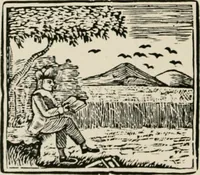 An illustration from Banbury chap books and nursery toy book literature [of the XVIII and early XIX centuries] (1890)