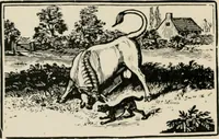 An illustration from Banbury chap books and nursery toy book literature [of the XVIII and early XIX centuries] (1890)