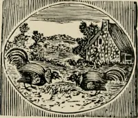 Picture 32 of 397 from Banbury chap books and nursery toy book literature [of the XVIII and early XIX centuries] (1890), leaf 21