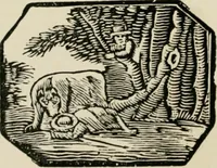 Picture 52 of 397 from Banbury chap books and nursery toy book literature [of the XVIII and early XIX centuries] (1890), leaf 29