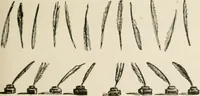 An illustration from Banbury chap books and nursery toy book literature [of the XVIII and early XIX centuries] (1890)