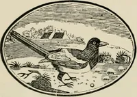 An illustration from Banbury chap books and nursery toy book literature [of the XVIII and early XIX centuries] (1890)