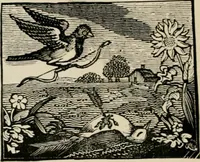 An illustration from Banbury chap books and nursery toy book literature [of the XVIII and early XIX centuries] (1890)