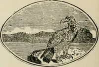 An illustration from Banbury chap books and nursery toy book literature [of the XVIII and early XIX centuries] (1890)