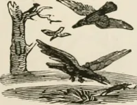 An illustration from Banbury chap books and nursery toy book literature [of the XVIII and early XIX centuries] (1890)