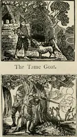Picture 137 of 397 from Banbury chap books and nursery toy book literature [of the XVIII and early XIX centuries] (1890), leaf 55