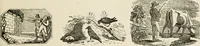 An illustration from Banbury chap books and nursery toy book literature [of the XVIII and early XIX centuries] (1890)