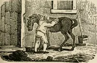 An illustration from Banbury chap books and nursery toy book literature [of the XVIII and early XIX centuries] (1890)