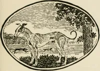 An illustration from Banbury chap books and nursery toy book literature [of the XVIII and early XIX centuries] (1890)