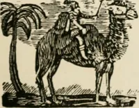 An illustration from Banbury chap books and nursery toy book literature [of the XVIII and early XIX centuries] (1890)