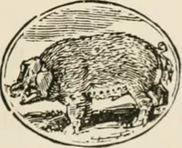 An illustration from Banbury chap books and nursery toy book literature [of the XVIII and early XIX centuries] (1890)