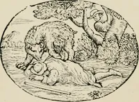 An illustration from Banbury chap books and nursery toy book literature [of the XVIII and early XIX centuries] (1890)