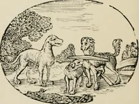 An illustration from Banbury chap books and nursery toy book literature [of the XVIII and early XIX centuries] (1890)