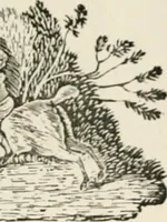 An illustration from Banbury chap books and nursery toy book literature [of the XVIII and early XIX centuries] (1890)