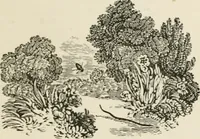 An illustration from Banbury chap books and nursery toy book literature [of the XVIII and early XIX centuries] (1890)