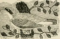 An illustration from Banbury chap books and nursery toy book literature [of the XVIII and early XIX centuries] (1890)